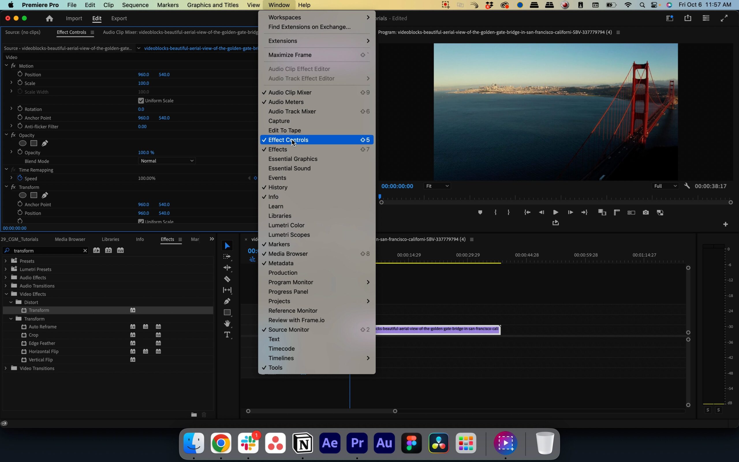 Step 7. In Premiere Pro, navigate to the effects controls panel.