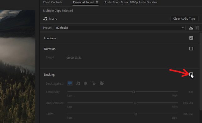 Premiere Pro - Turn on 'Ducking' section in 'Essential Sounds' panel