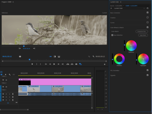 Basics of Video Color Correction in Premiere Pro
